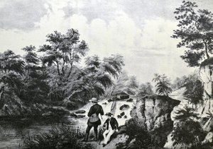 The Trout Stream